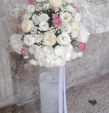 Πανσιόν Da Agnese Locazioni Brevi